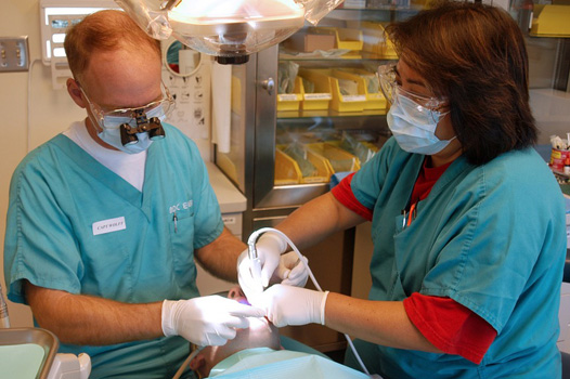 Collingwood Dentist